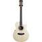 Cole Clark Recording Studio Series AN2 EC Spruce/Rosewood #2410-95 Front View