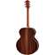Taylor Legacy 815e  Back View