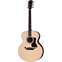 Taylor Legacy 815e  Front View