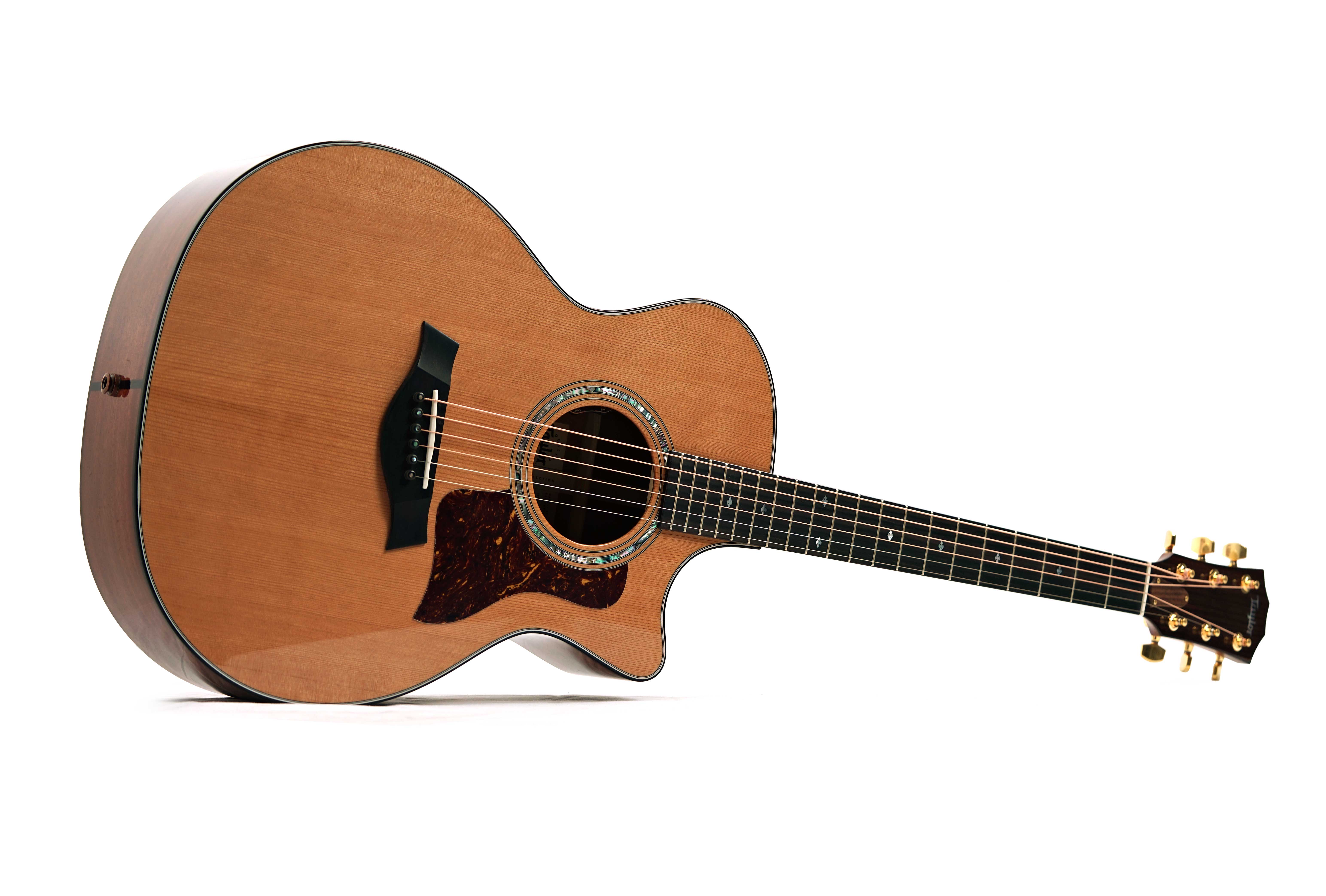 Taylor Legacy 514ce Grand Auditorium (Nearly New) #1201175009