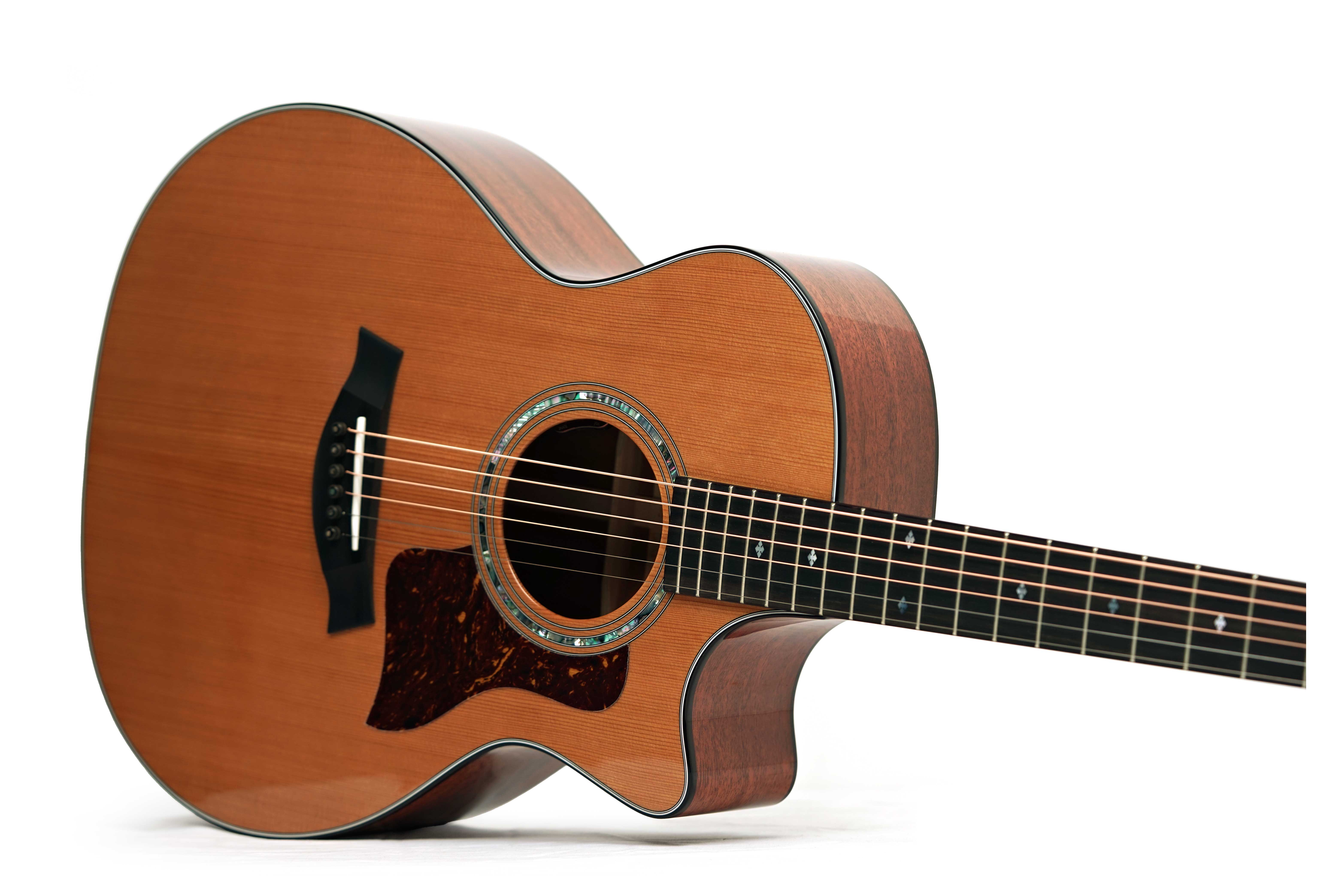 Taylor Legacy 514ce Grand Auditorium (Nearly New) #1201175009