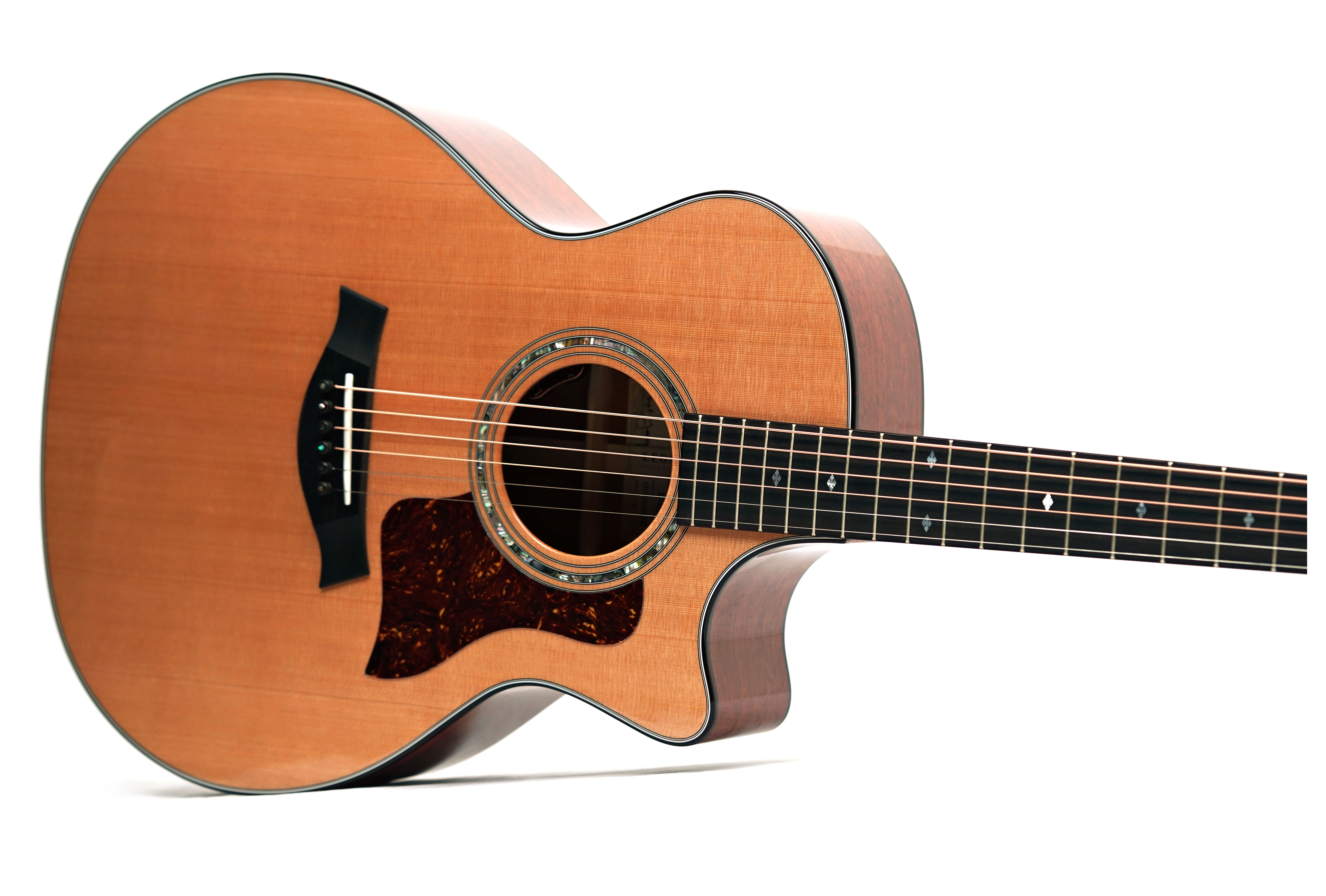 Taylor Legacy 514ce Grand Auditorium (Ex-Demo) #1212104058