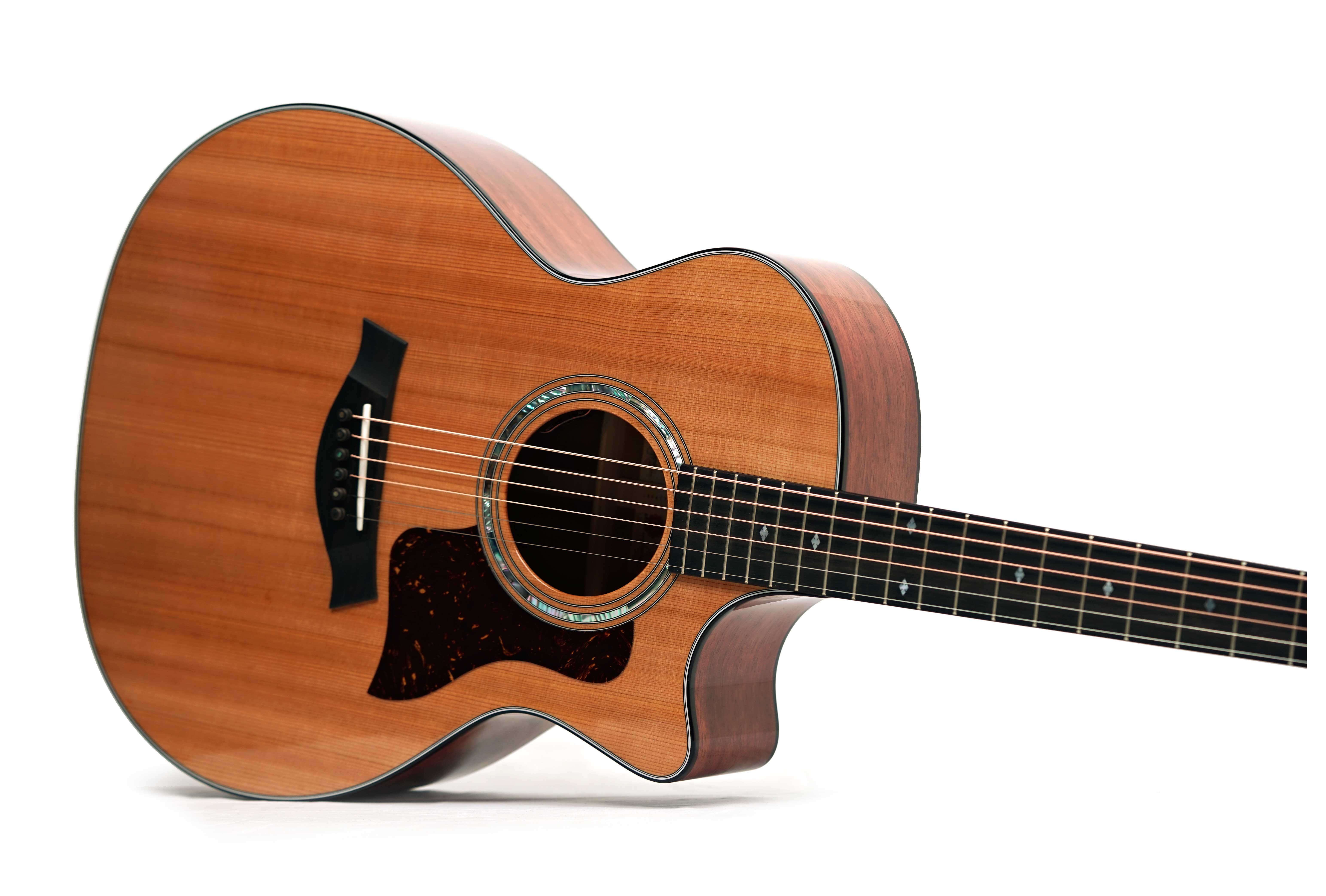 Taylor Legacy 514ce Grand Auditorium (Nearly New) #1204045090