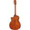 Taylor Legacy 514ce Grand Auditorium Back View