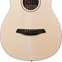 Furch Pioneer-EM Engelmann Spruce/African Mahogany