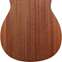 Furch Pioneer-CM Western Red Cedar / African Mahogany (Ex-Demo) #126798