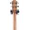 Furch Pioneer-CM Western Red Cedar / African Mahogany (Ex-Demo) #126798