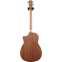 Furch Pioneer-CM Western Red Cedar / African Mahogany (Ex-Demo) #126798 Back View
