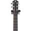Furch Pioneer-CM Western Red Cedar / African Mahogany (Ex-Demo) #126798