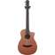 Furch Pioneer-CM Western Red Cedar / African Mahogany (Ex-Demo) #126798 Front View