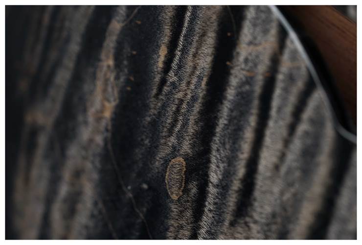 PRS Special Semi-Hollow Charcoal Burst #0366457 PRS Special Semi-Hollow Charcoal Burst #0366457