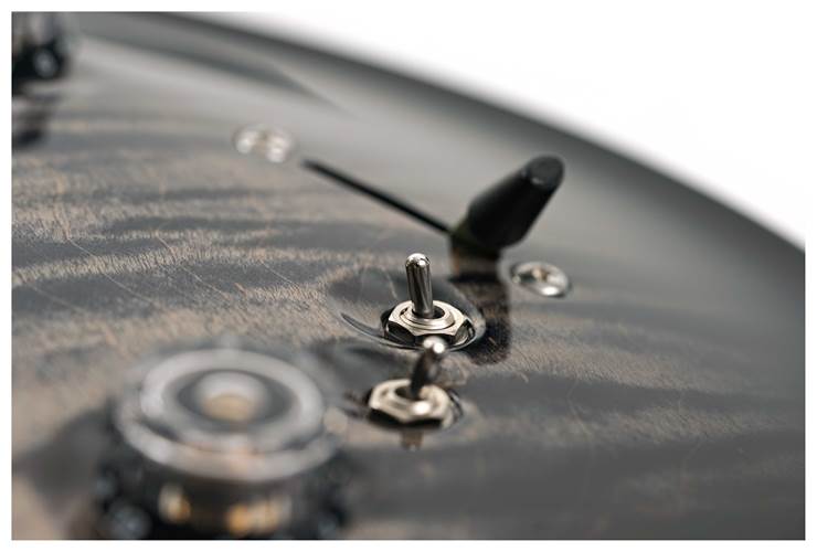 PRS Special Semi-Hollow Charcoal Burst #0366457 PRS Special Semi-Hollow Charcoal Burst #0366457