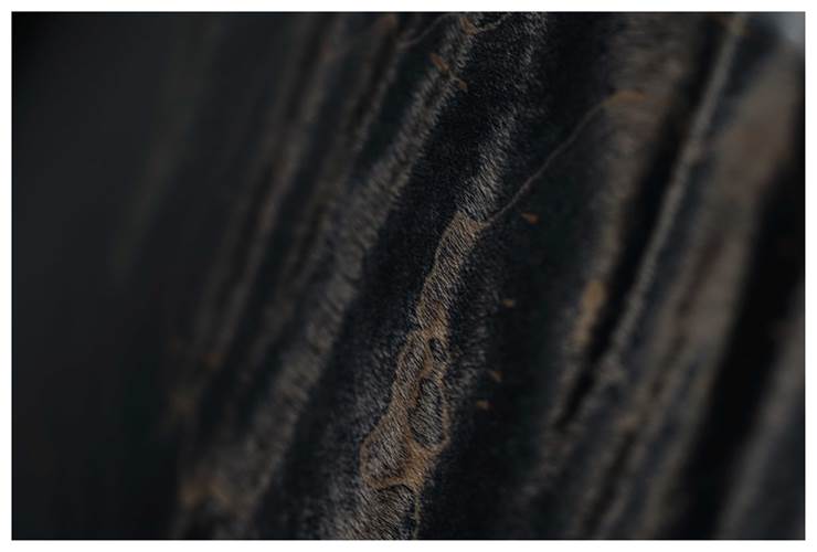 PRS Special Semi-Hollow Charcoal Burst #0366457 PRS Special Semi-Hollow Charcoal Burst #0366457