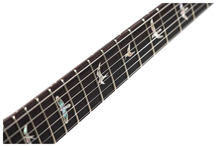 PRS Special Semi-Hollow Charcoal Burst #0366457 PRS Special Semi-Hollow Charcoal Burst #0366457