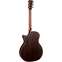 Martin GPC16E Spruce / Rosewood Back View