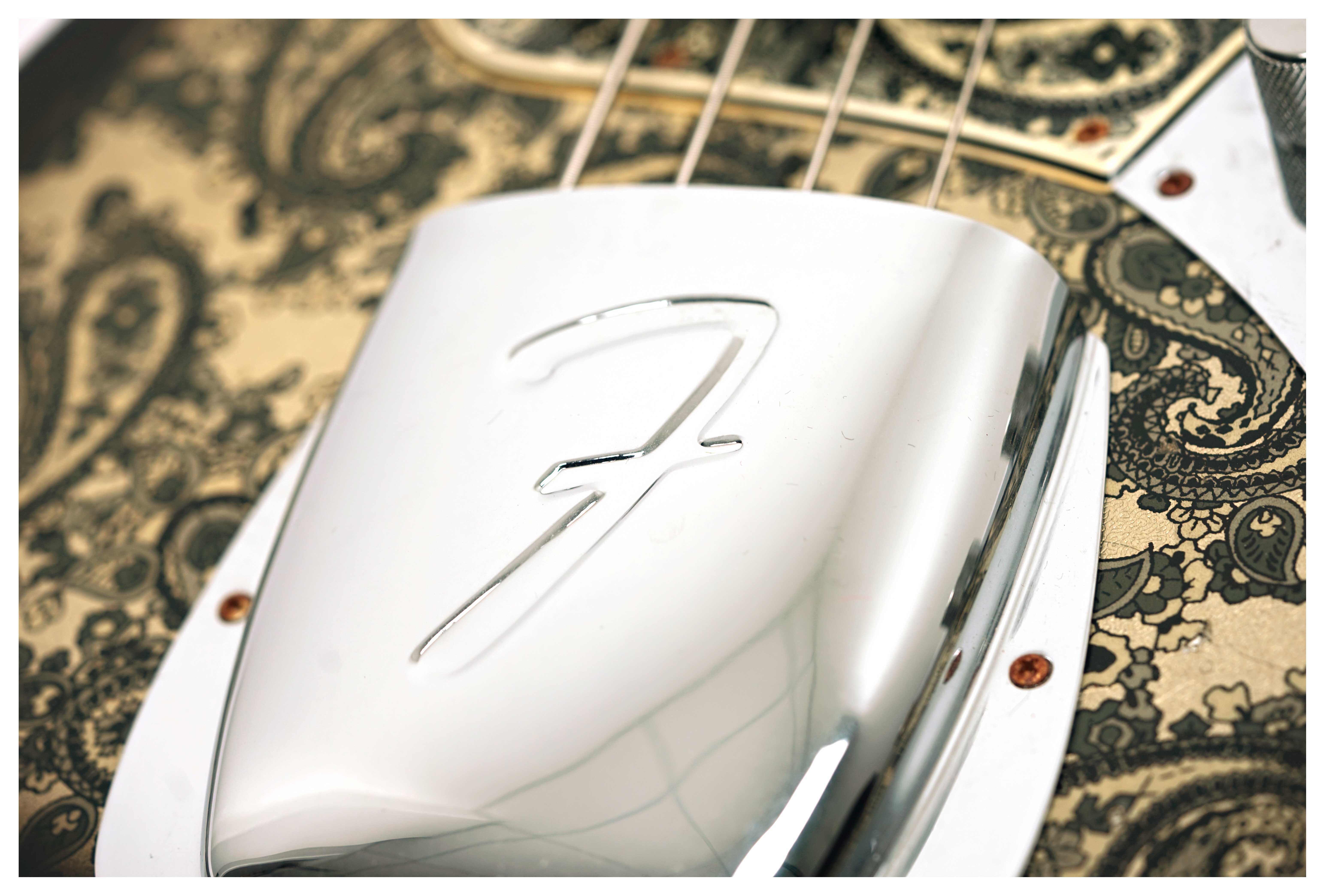 Fender Custom Shop Limited Edition Jazz Bass Relic Black Paisley #CZ586257