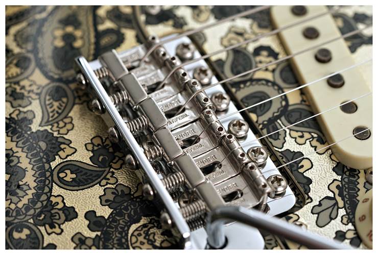 Fender Custom Shop Limited Edition 1968 Stratocaster Jouneyman Relic Black Paisley #CZ586101 Fender Custom Shop Limited Edition 1968 Stratocaster Jouneyman Relic Black Paisley #CZ586101