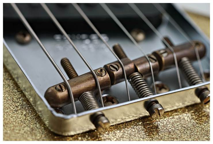 Fender Custom Shop Limited Edition 1960 Telecaster Custom Jouneyman Relic Aged Gold Sparkle #CZ586071 Fender Custom Shop Limited Edition 1960 Telecaster Custom Jouneyman Relic Aged Gold Sparkle #CZ586071
