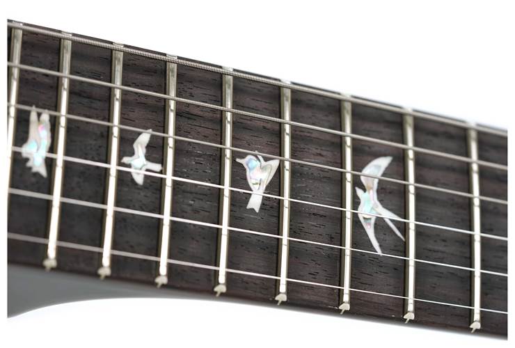 PRS Custom 24 Black Gold #0389996 PRS Custom 24 Black Gold #0389996