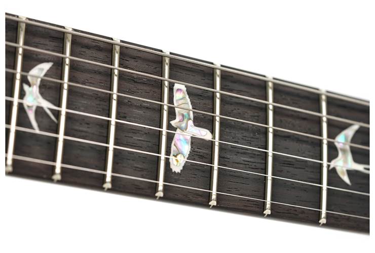 PRS Custom 24 Black Gold #0389996 PRS Custom 24 Black Gold #0389996