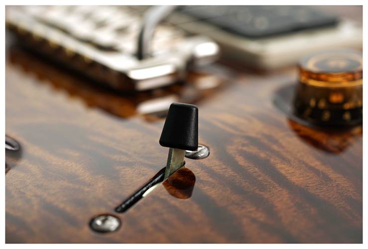 PRS Custom 24 Black Gold #0389996 PRS Custom 24 Black Gold #0389996