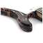 Tyler Studio Elite HD Wine-Ou Vomit #532 Front View