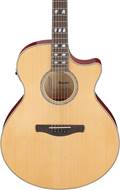 Ibanez AE170 AE Series Natural