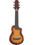 Ibanez AUP10N Open Pore Light Brown Sunburst