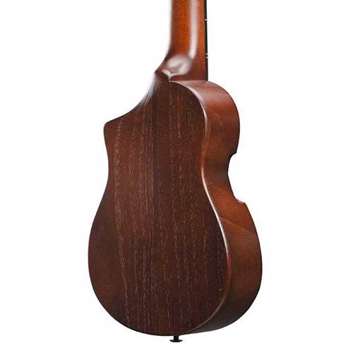 Ibanez AUP10N Open Pore Light Brown Sunburst Ibanez AUP10N Open Pore Light Brown Sunburst