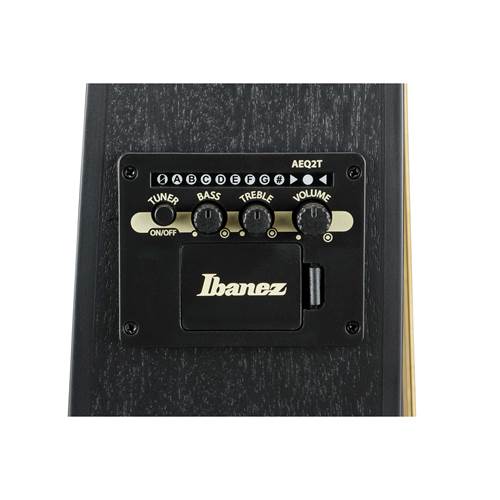 Ibanez TCY621 Talman Black Out Ibanez TCY621 Talman Black Out