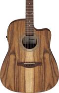 Ibanez V40WSCE Open Pore Brown