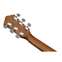 Ibanez VC40WSCE Open Pore Brown Front View
