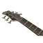 Ibanez BTB606 6 String Transparent Grey Flat Front View