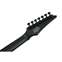Ibanez RGRB720 7 String Black Flat Front View