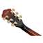 Ibanez AS93QMSP AS Dark Brown Sunburst Front View