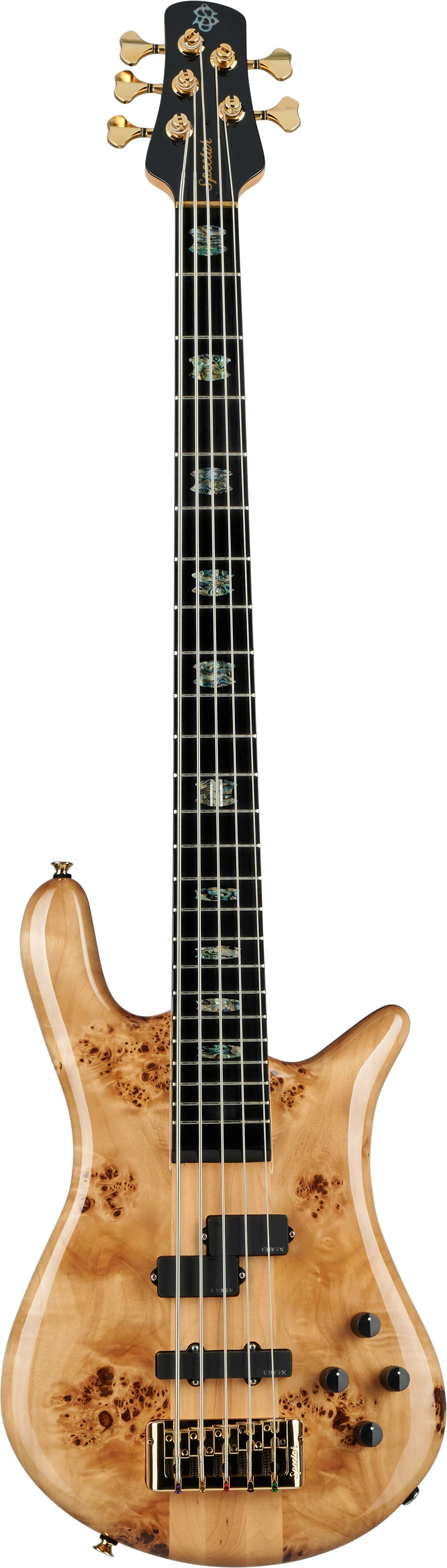 Spector Euro 5 CST Natural Gloss