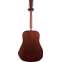 Martin Custom Shop Expert D-18 1937 Aged Back View