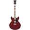 D'Angelico Premier Mini DC Burnt Red Front View