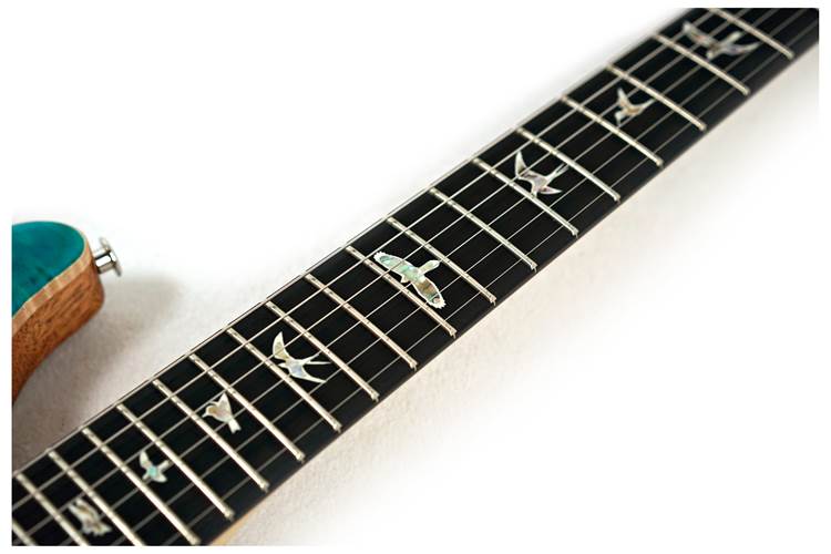 PRS Custom 24 Floyd Carroll Blue 10 Top #0394813 PRS Custom 24 Floyd Carroll Blue 10 Top #0394813