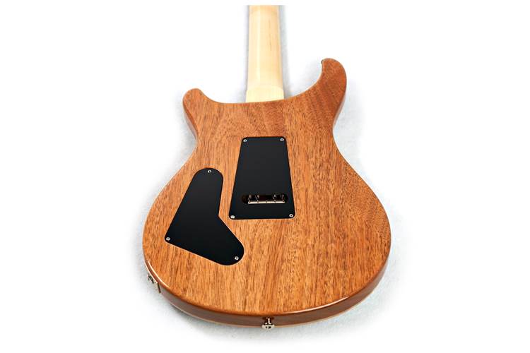 PRS Custom 24 Floyd Carroll Blue 10 Top #0394813 PRS Custom 24 Floyd Carroll Blue 10 Top #0394813