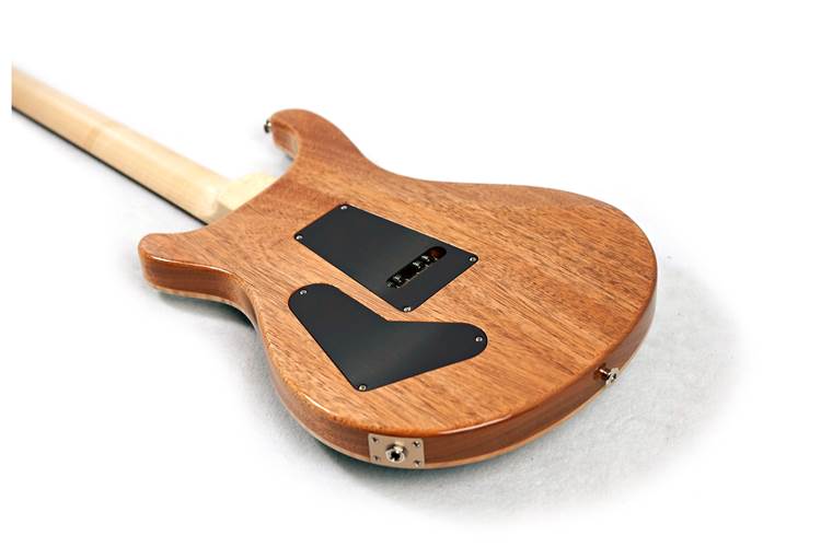 PRS Custom 24 Floyd Carroll Blue 10 Top #0394813 PRS Custom 24 Floyd Carroll Blue 10 Top #0394813