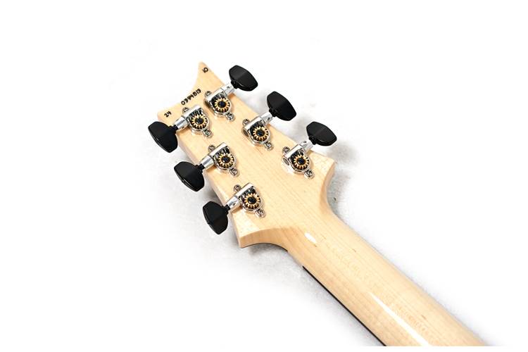 PRS Custom 24 Floyd Carroll Blue 10 Top #0394813 PRS Custom 24 Floyd Carroll Blue 10 Top #0394813