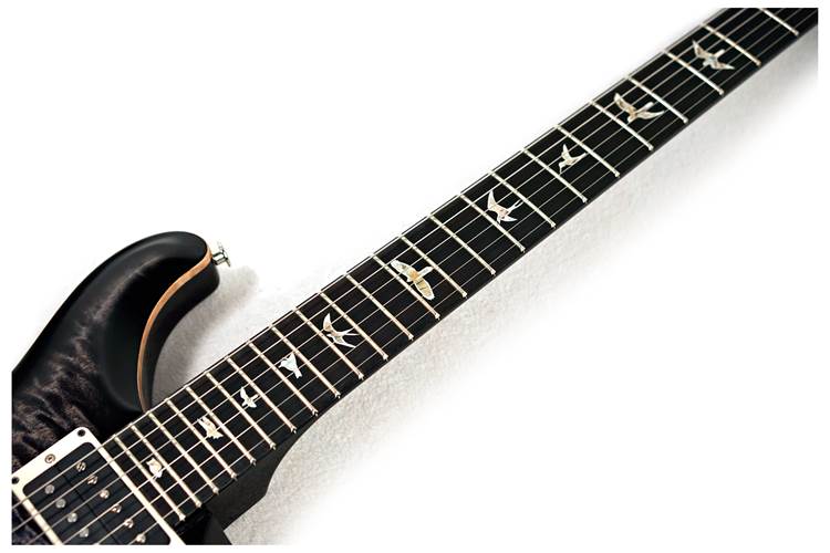 PRS Custom 24 Floyd Purple Mist 10 Top #0391053 PRS Custom 24 Floyd Purple Mist 10 Top #0391053