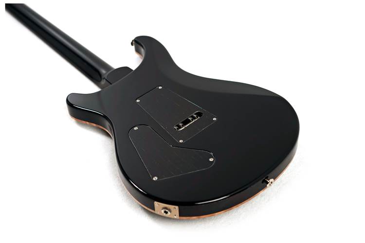 PRS Custom 24 Floyd Purple Mist 10 Top #0391053 PRS Custom 24 Floyd Purple Mist 10 Top #0391053