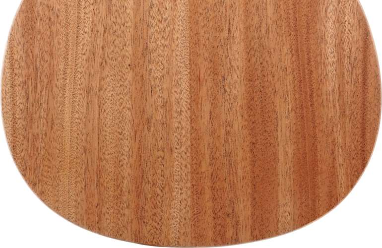 Furch Pioneer-EM Furch Pioneer-EM