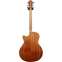 Furch Violet Gc-EM Master's Choice with CNR Active Back View