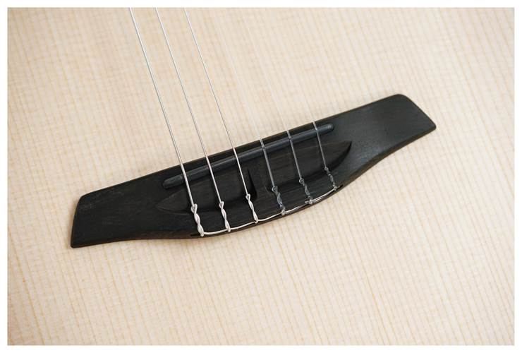 Furch GNc 2-SW with CNR Active Furch GNc 2-SW with CNR Active