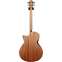 Furch Blue Deluxe Gc-CM with CNR Active Back View