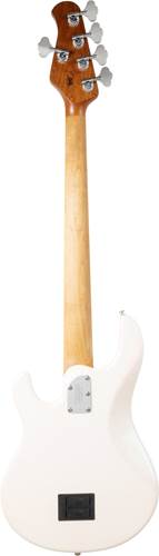 Music Man Stingray Special 5 HH Dazzler Maple Fingerboard Music Man Stingray Special 5 HH Dazzler Maple Fingerboard