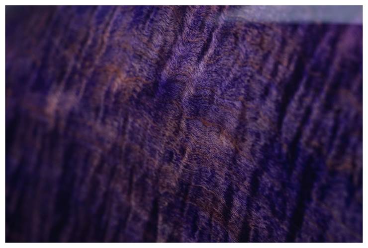Music Man Luke 4 HH Grape Slushie Rosewood Fingerboard #H08958 Music Man Luke 4 HH Grape Slushie Rosewood Fingerboard #H08958